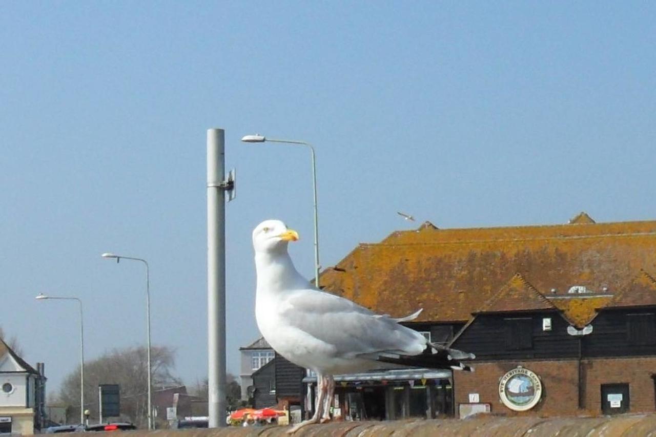 Seaview Cottage Rye Dış mekan fotoğraf